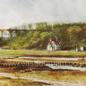 Game Keepers Cottage in Castle Eden Dene opposite the Dene Holme Hotel. Viaduct behind.              Bob Williams