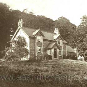 The Garden of Eden, Castle Eden Dene