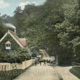 Dene Lodge Castle Eden