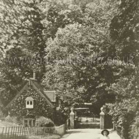 Dene Lodge Castle Eden