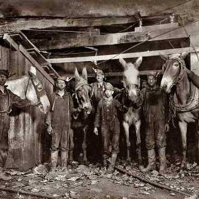 Hinny drivers in the Brow Mine, Virginia, September 1908.