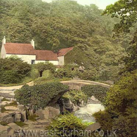 Jesmond Dene