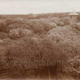Looking east on the western side of North Road before 1914, Bessie's Hole.
Photograph from William Kirby