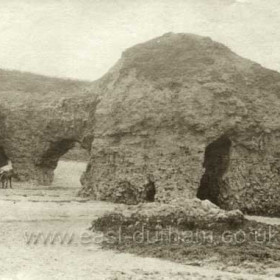 Hawthorn Hives c 1890