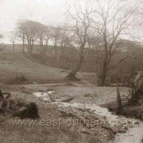 Hetton Dene