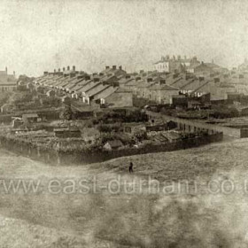 Eight Rows South Hetton. The Eight Rows (James Street, Smith Street, Hall Street and Forster Street) are seen from the allotment gardens in the angle of the South Hetton Railway (Dobson's Branch) and "The LNER".  South Hetton Lodge is prominent on the skyline; this was the home of the Colliery Agent in the days of The South Hetton Coal Company but after private ownership of the mines came to an end it became an Approved School (known to everyone in South Hetton as "The Remand Home").   Caption by Sheldon Clark