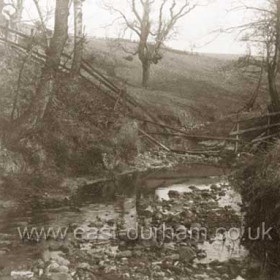 Hetton Dene, c1900?